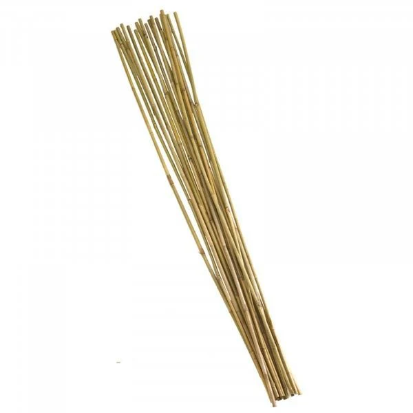210cm Bamboo Canes Bundle 10