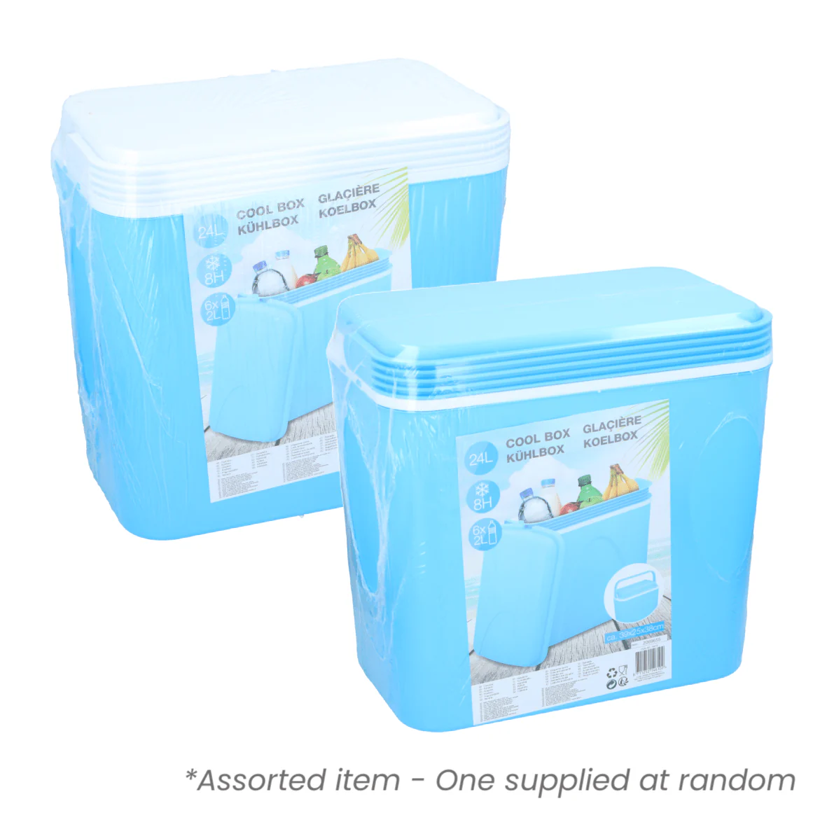 24L Cool Box Assorted - One Supplied*