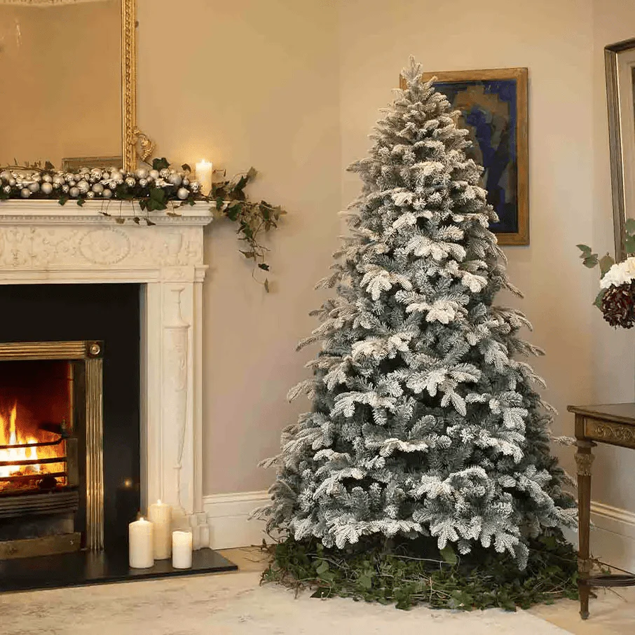 7ft Frosted Fir Noble Pine Christmas Tree with 2,128 Tips