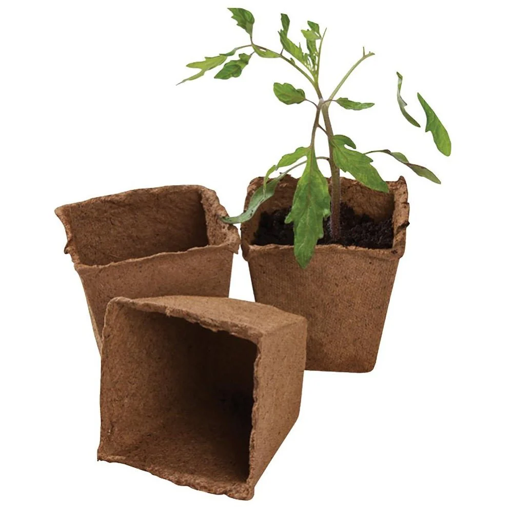 8cm Square Fibre Plant Pots, 12 Pack - Image 2