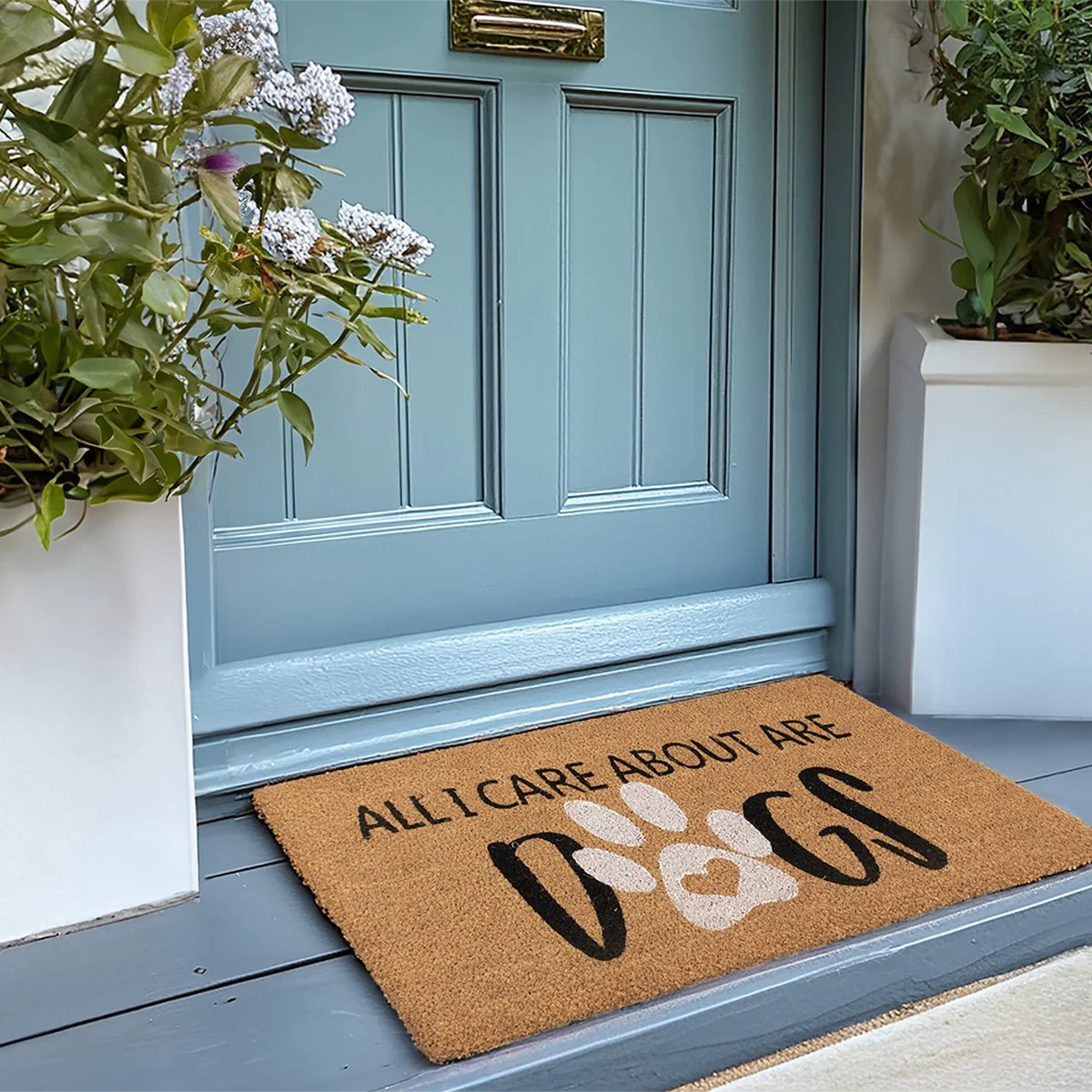All I Care about are Dogs Door Mat 45x75cm