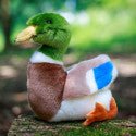 Animigos World Of Nature Mallard Duck