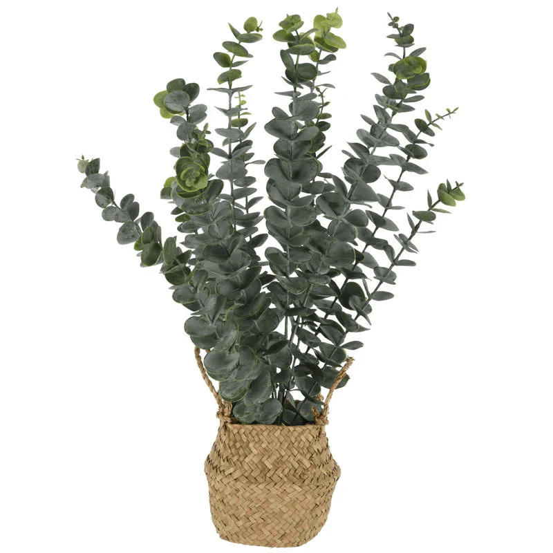Artificial Eucalyptus Plant 22 × 50cm