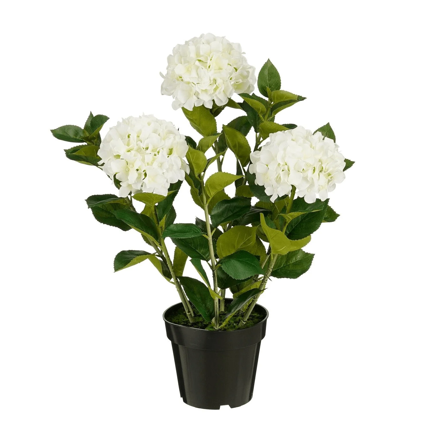 Artificial Hydrangea in Pot White Real Touch - h65xd40cm