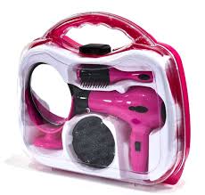 Battery Operated Hairdryer Set In Carry