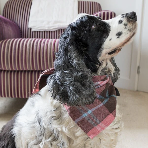 Beau Bandana - Large/X-Large - Pink Check