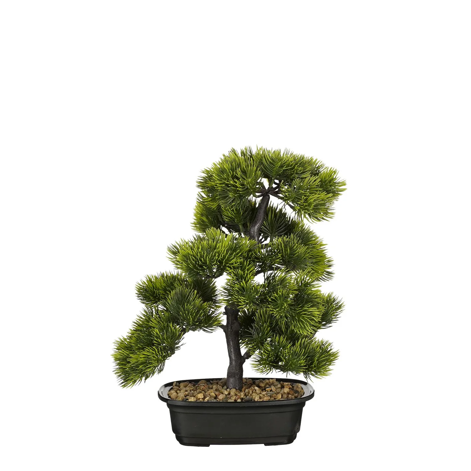 Bonsai in Green Pot - l27xw27xh33cm