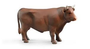 Bruder Bull Brown