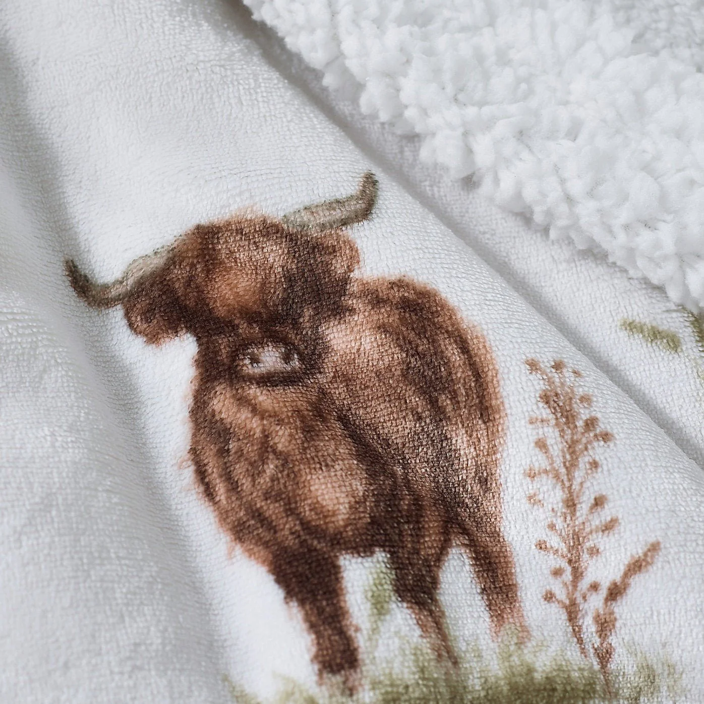 Catherine Lansfield Angus Highland Cow Cosy Fleece Blanket Throw – Natural (130x170cm) - Image 2