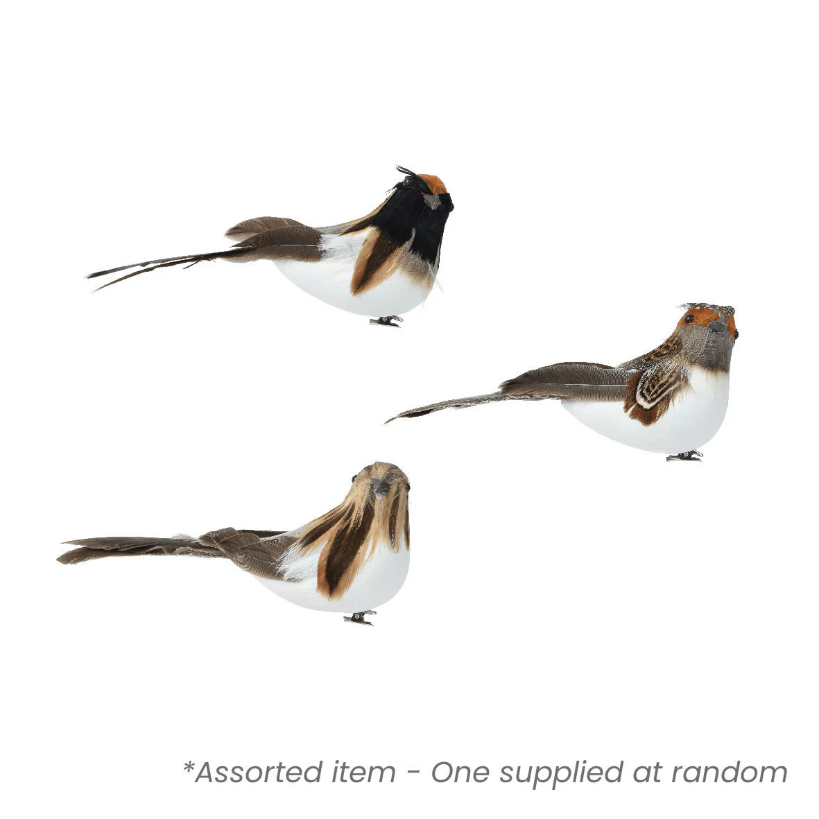 Christmas Bird on Clip 6cm Assorted - One Supplied*