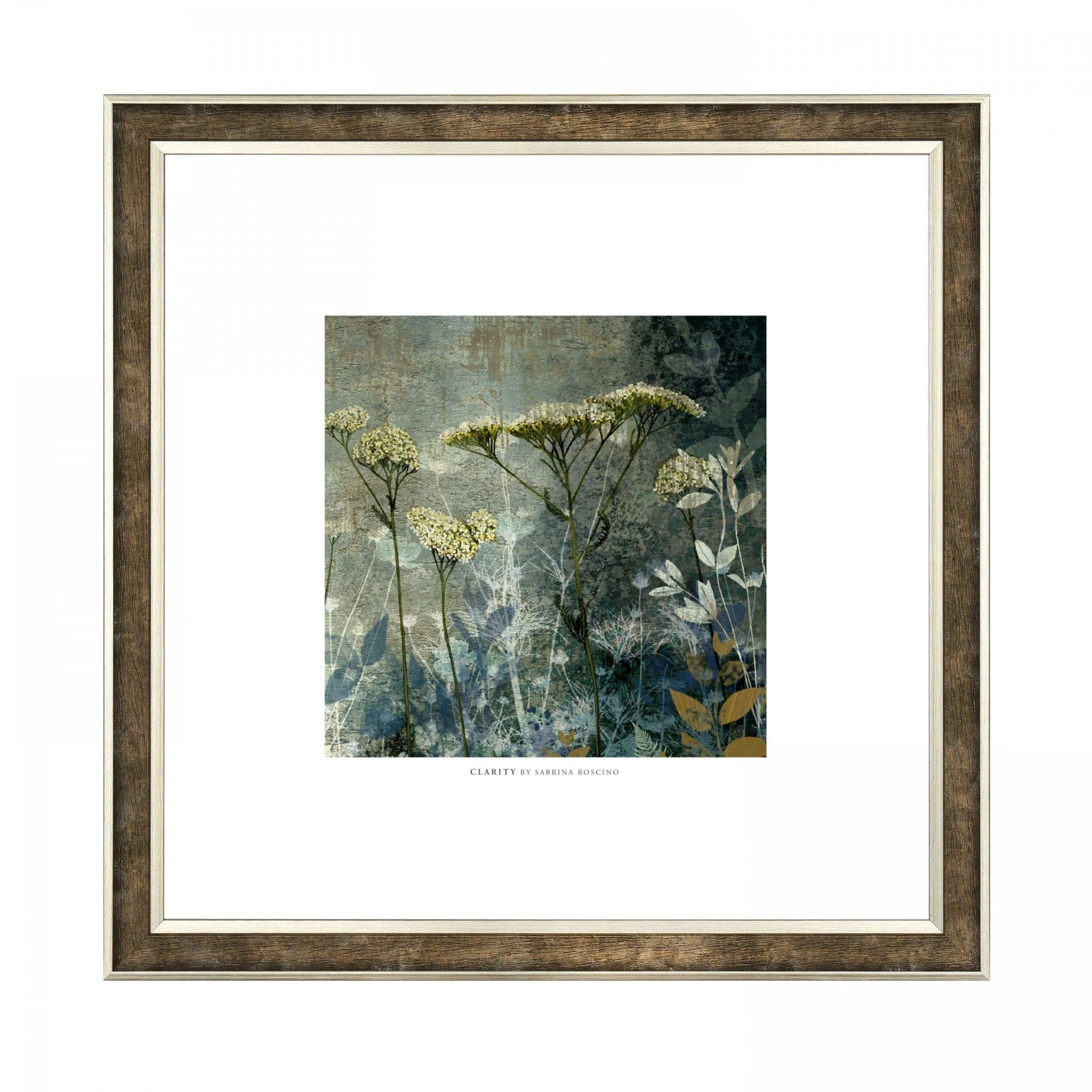 Clarity Framed Wall Art
