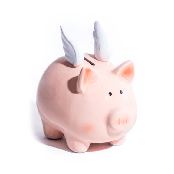 Classic Flying Ceramic Piggy Bank