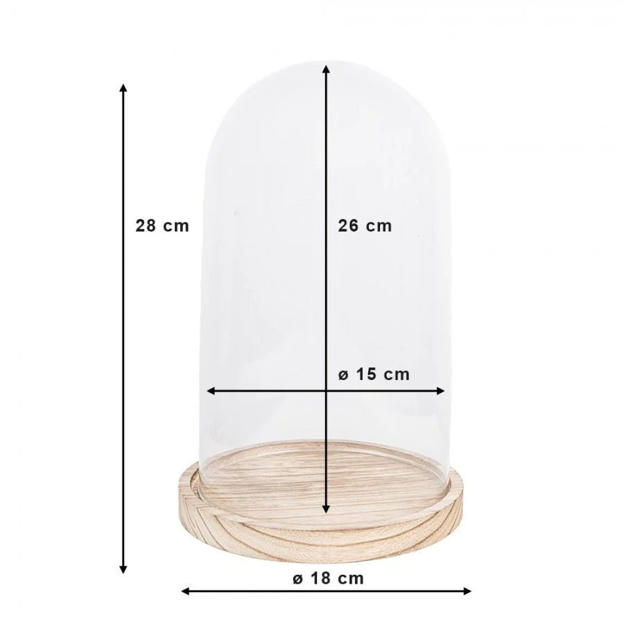 Cloche 18 x 28cm Glass Round Glass Bell Jar - Image 3