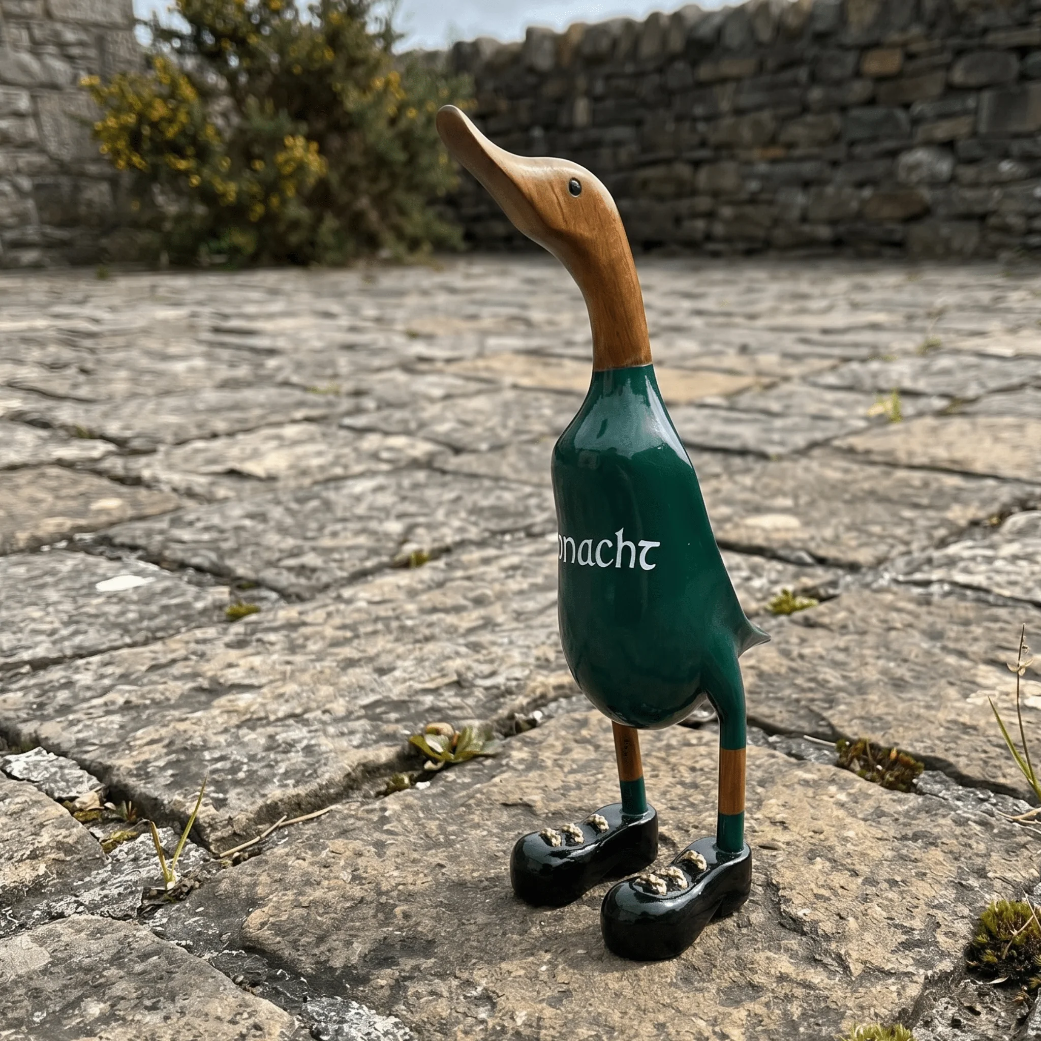 Connacht Duck - Image 2
