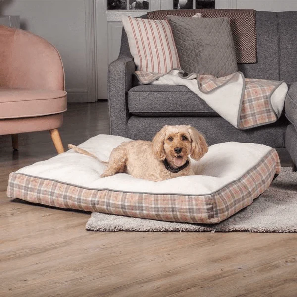 County Gusset Mattress Pet Bed