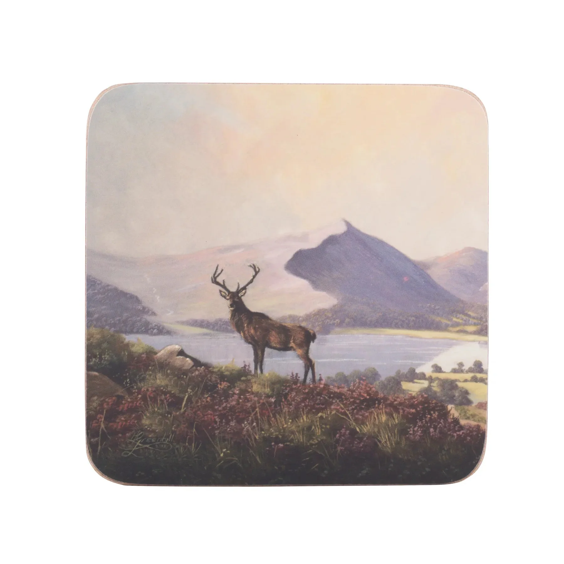 Creative Tops Highland Stag Pack Of 6 Premium Coasters