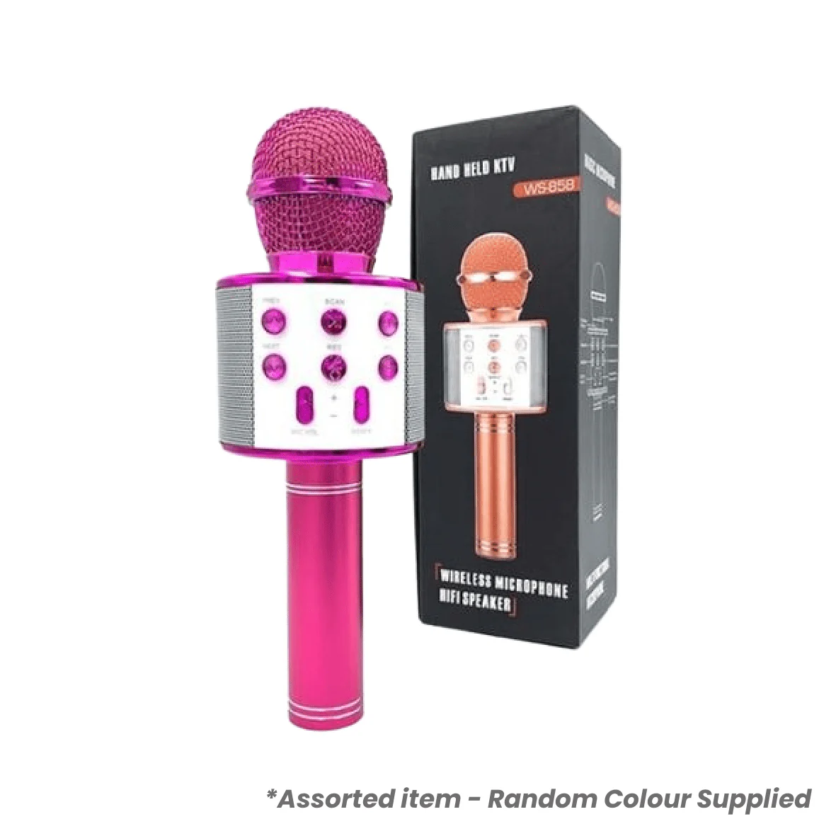 Dance Microphone - Random Colour Supplied
