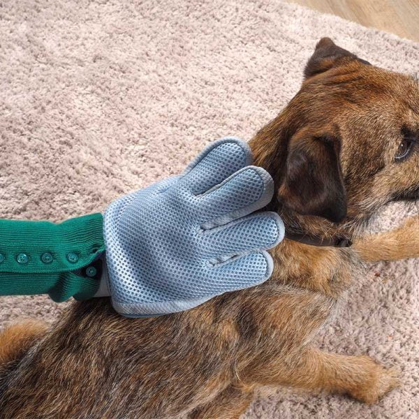 Dog Grooming Glove - Image 2
