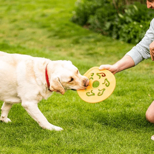 Dog Spinner 25cm Dog Toy