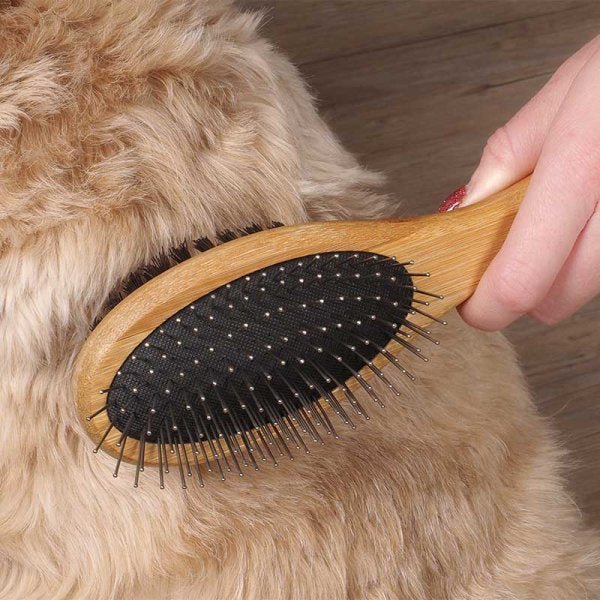 Double Sided Pet Brush - Image 4