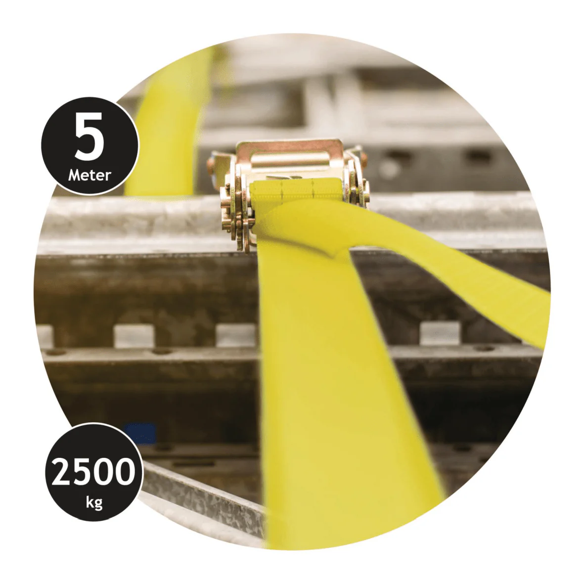 Dunlop Lashing Strap with Ratchet 5M - up to 2500 KG - Image 2
