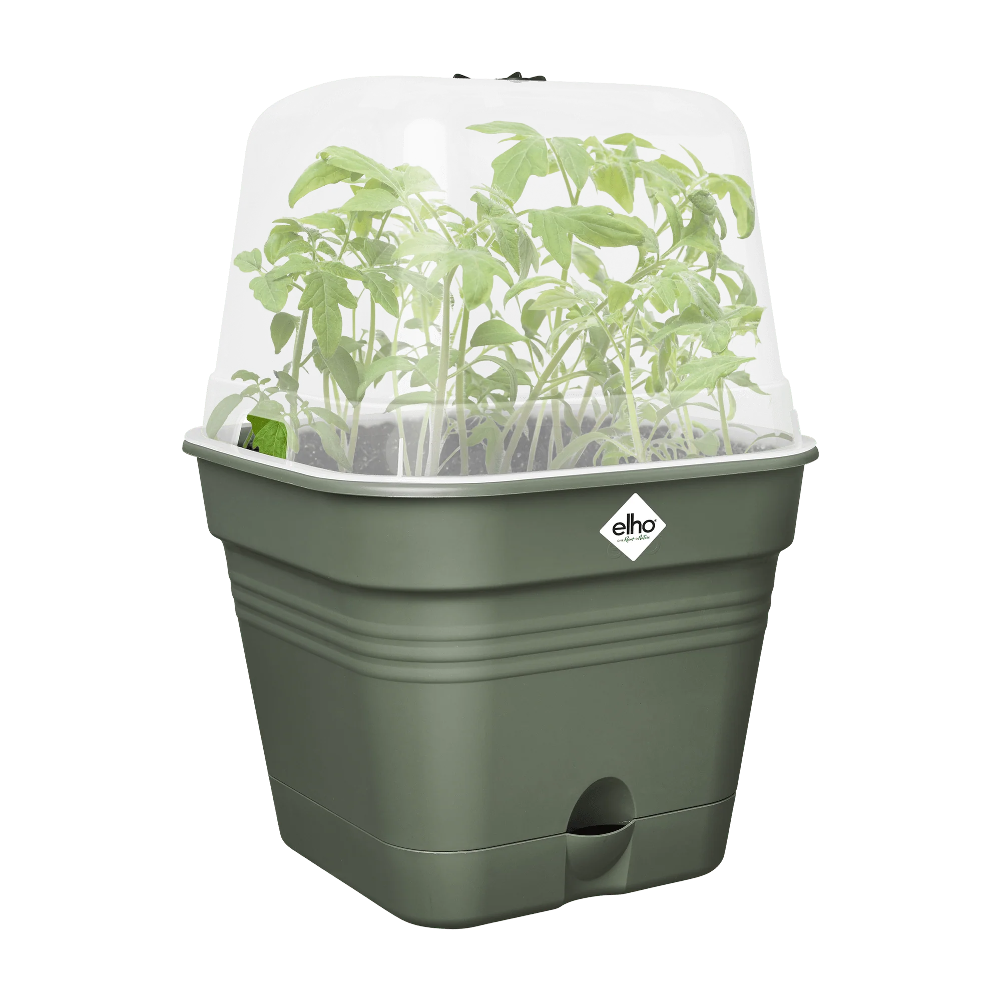 Elho Green Basics Growpot Square All-in-1 20cm Leaf Green - Image 9