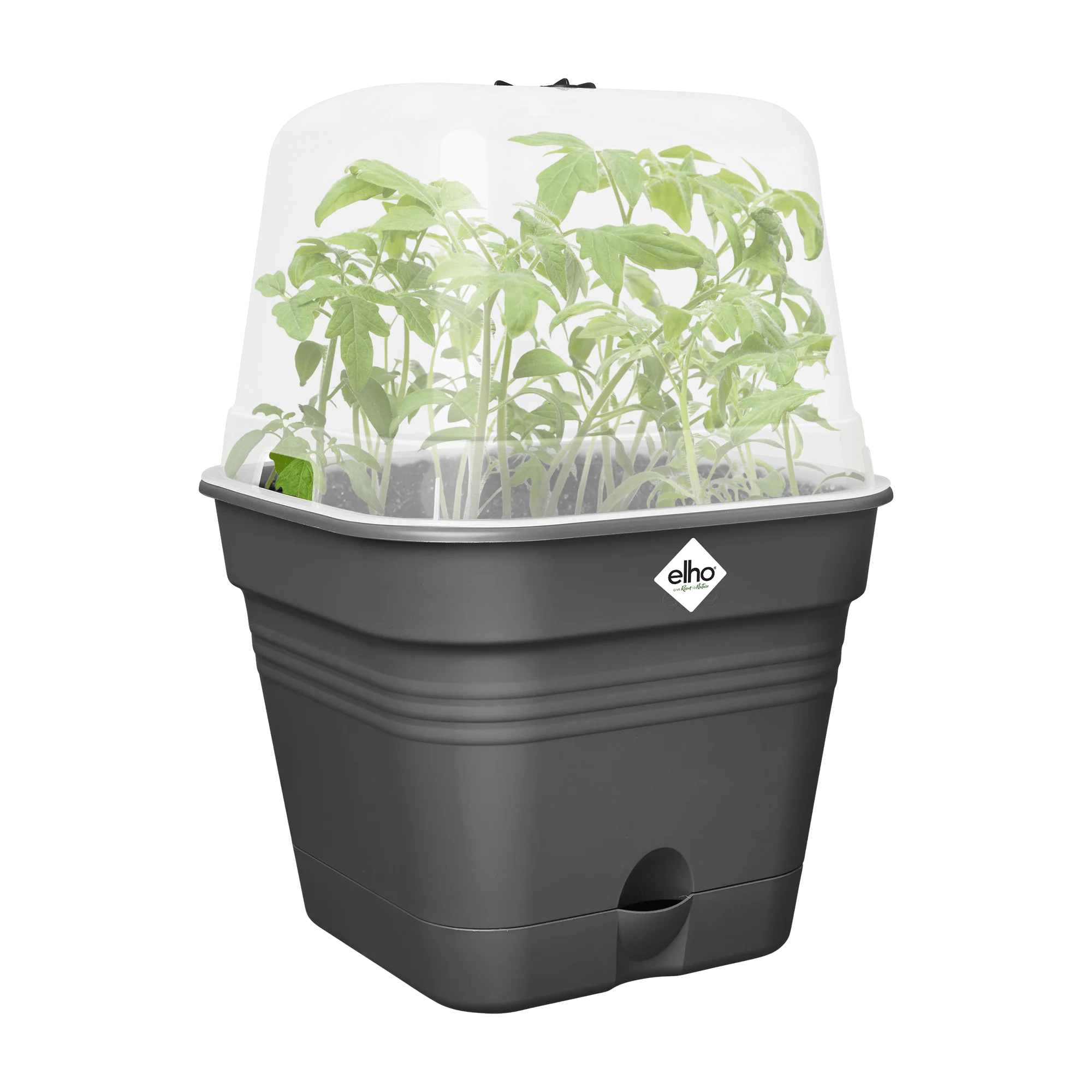 Elho Green Basics Growpot Square All-in-1 20cm Living Black - Image 10