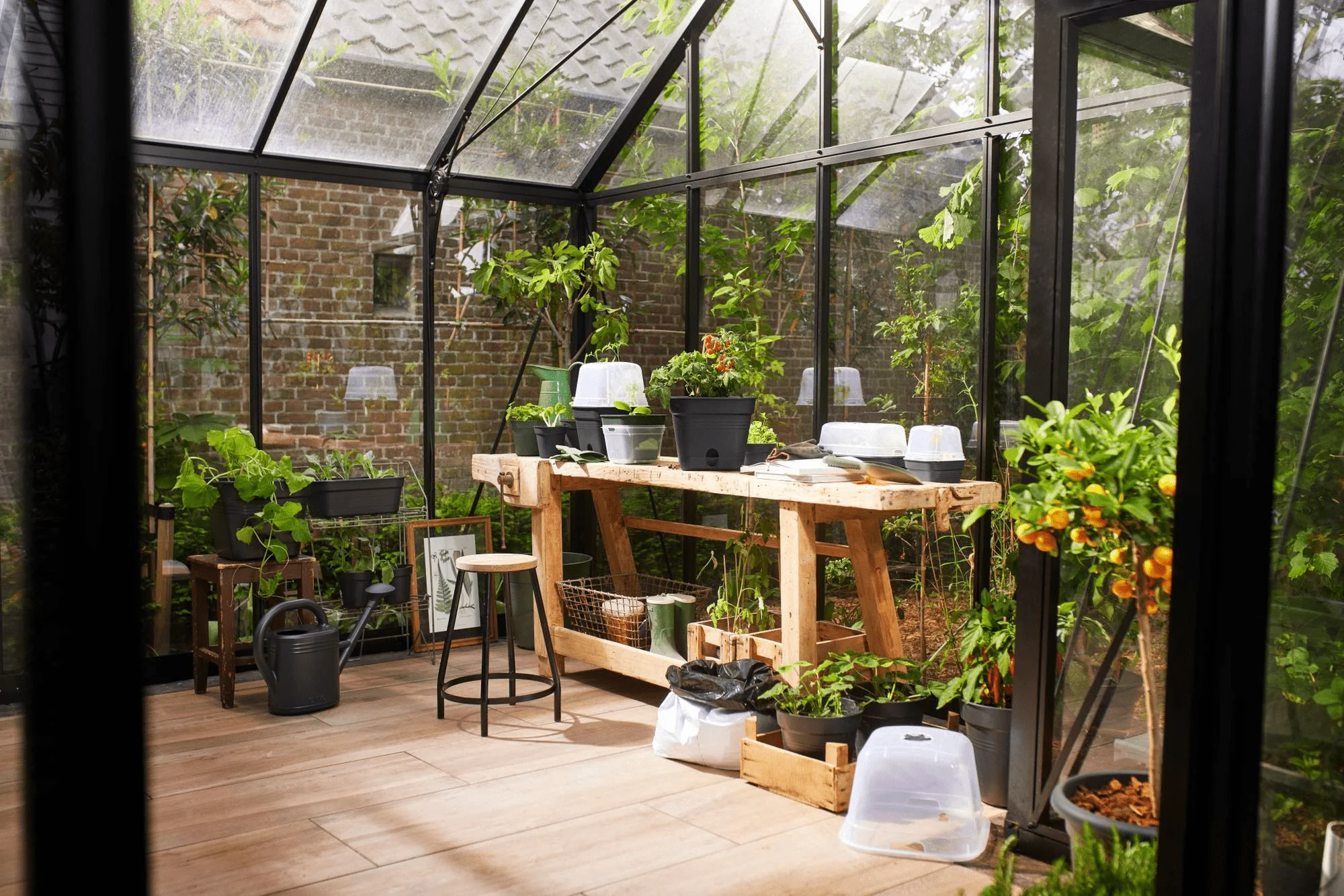 Elho Green Basics Growpot Square All-in-1 20cm Living Black - Image 14