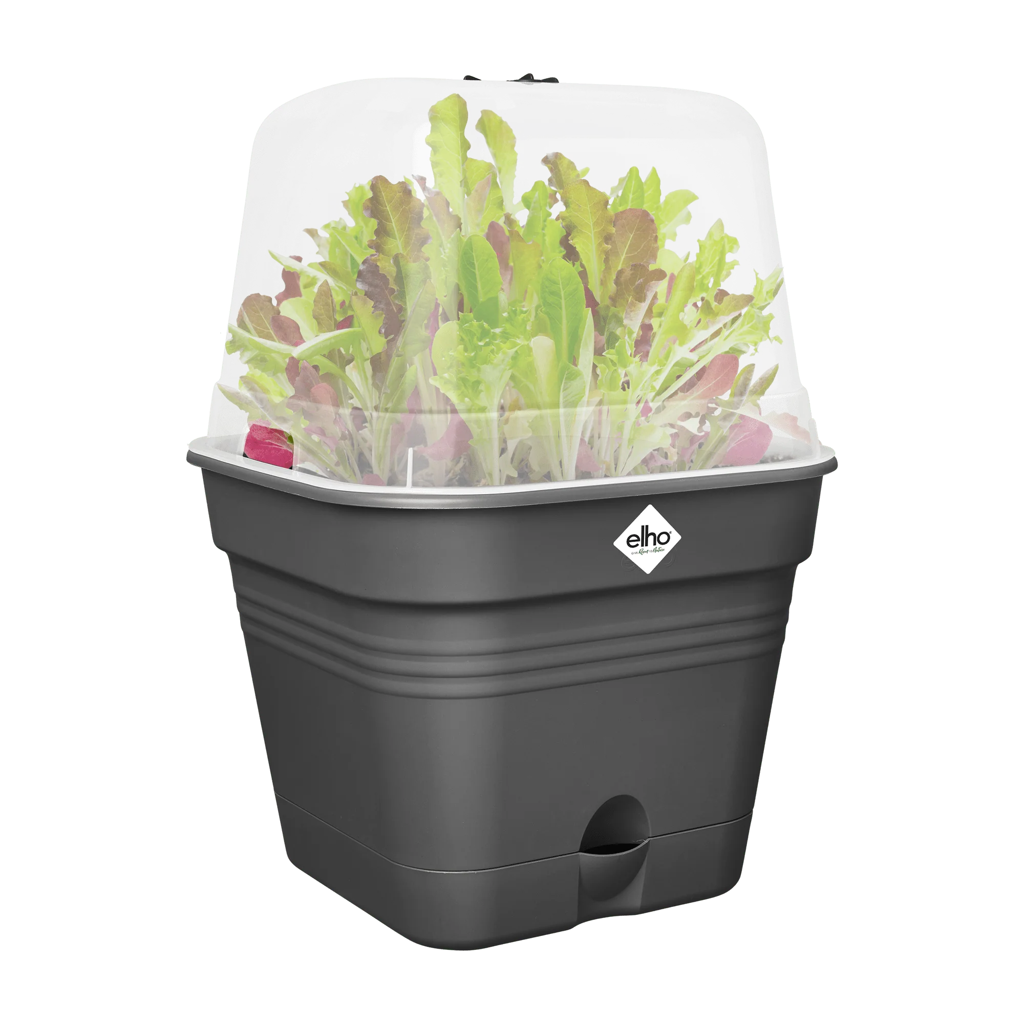 Elho Green Basics Growpot Square All-in-1 20cm Living Black - Image 9
