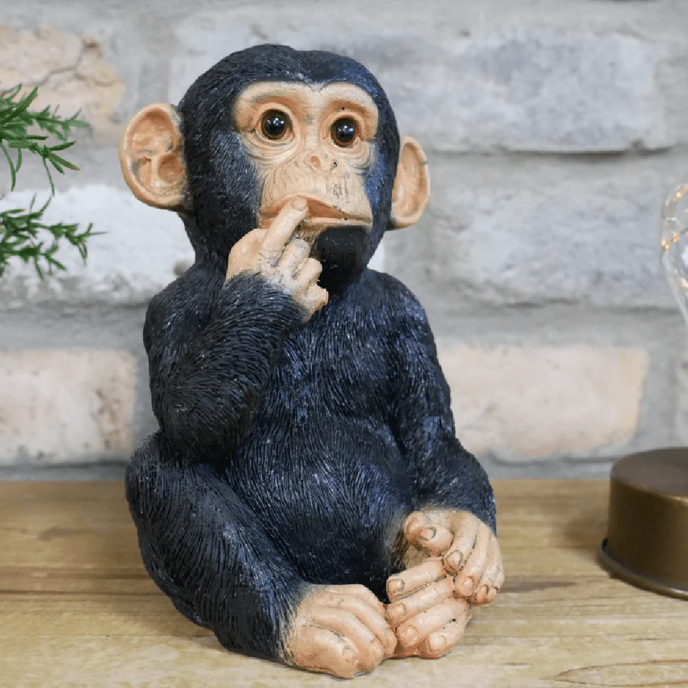 Finger in Mouth Monkey Small 17cm