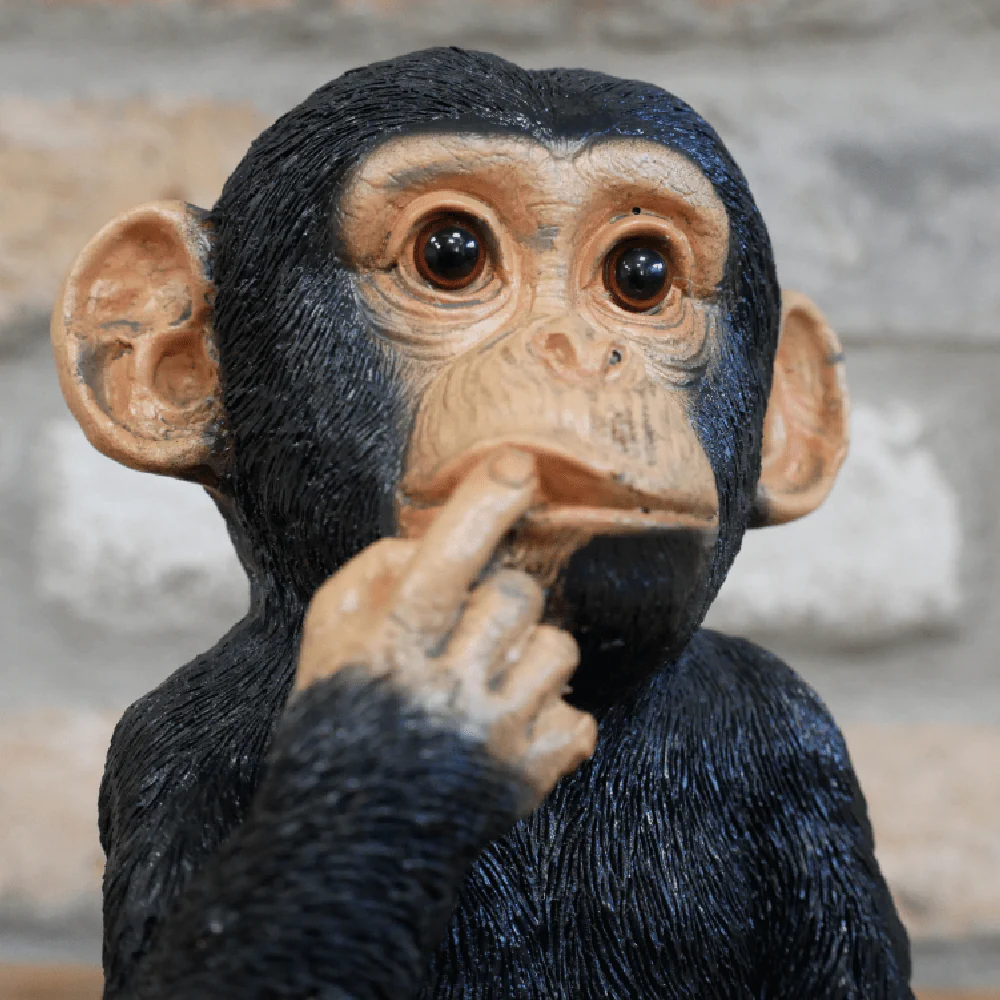 Finger in Mouth Monkey Small 17cm - Image 2