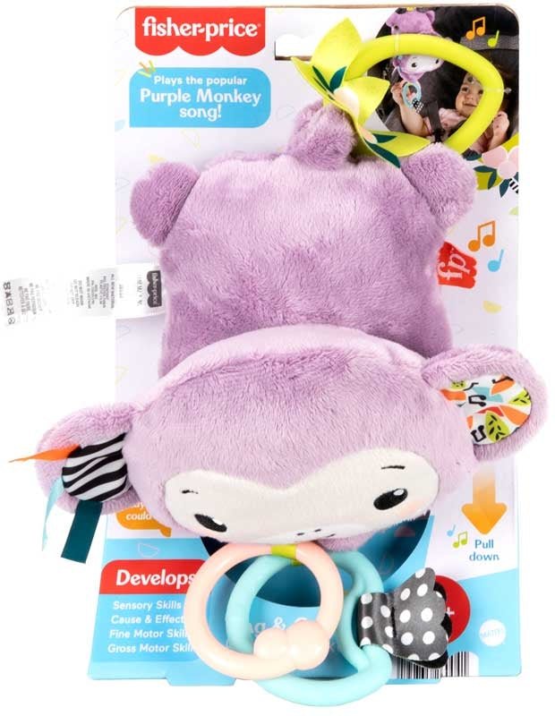 Fisher-Price Sing & Go Purple Monkey
