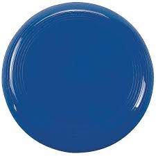 Flying Disc Frisbee