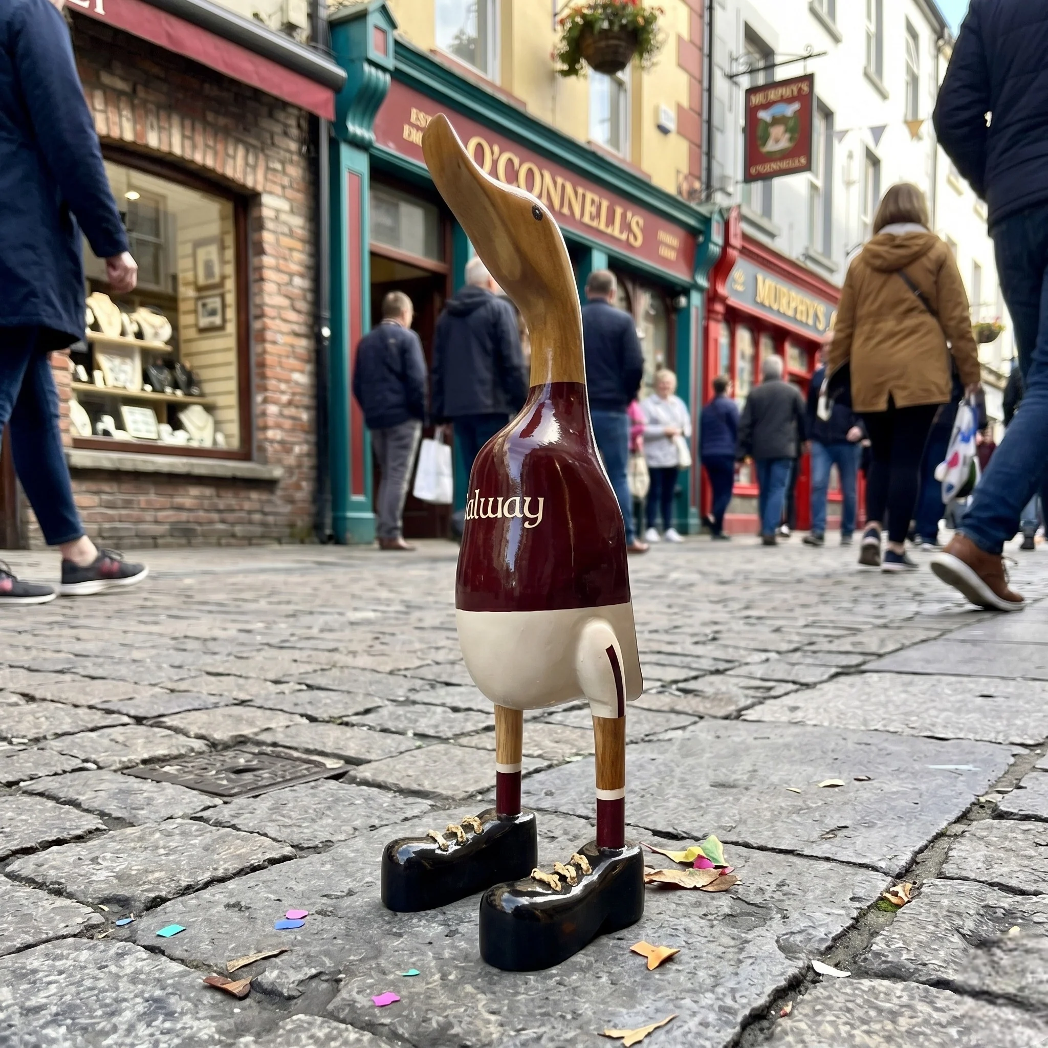 Galway Duck - Image 2