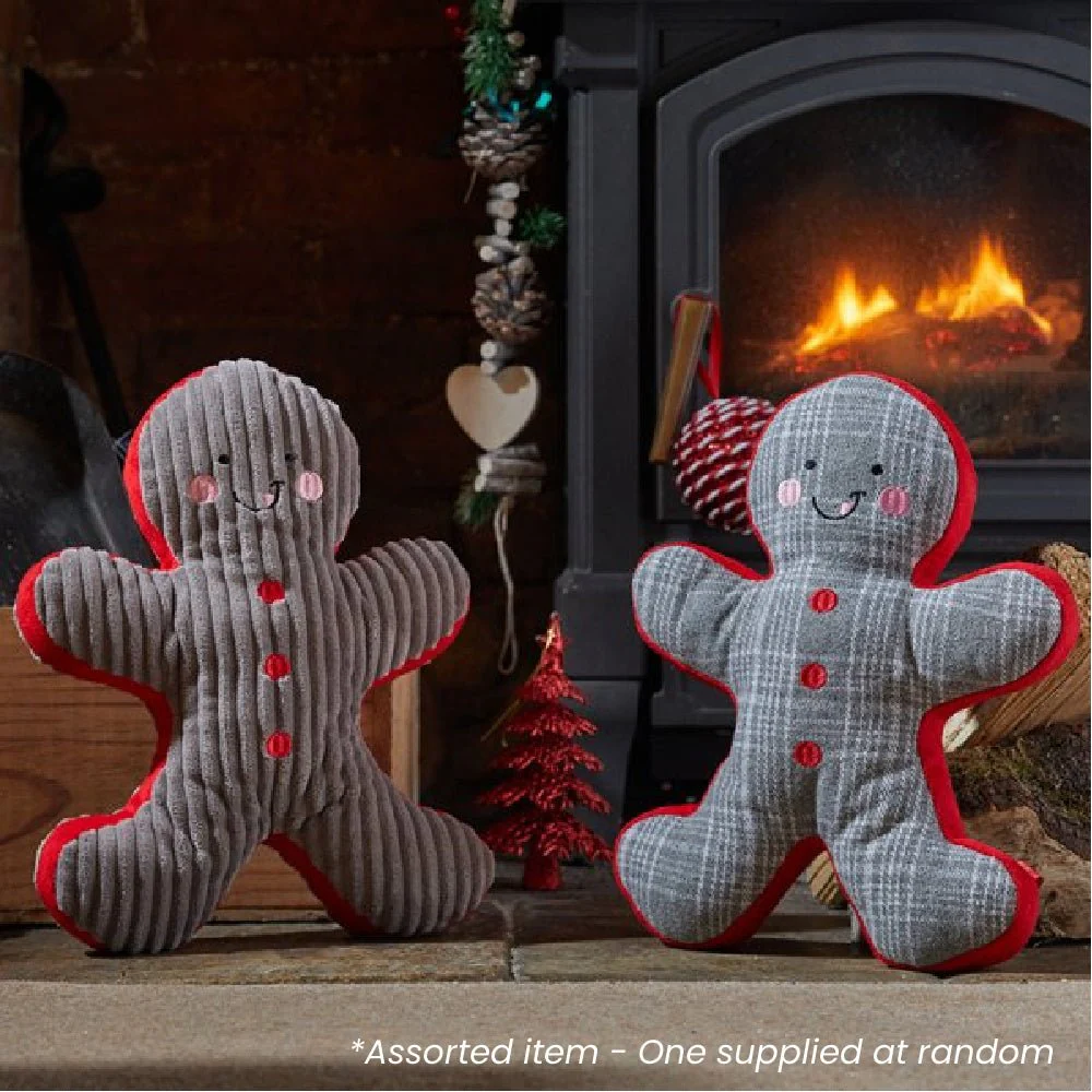 Gingerbread Buddy - Large