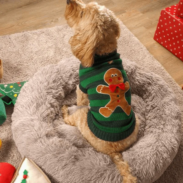 Gingerbread Christmas Dog Jumper - 45cm