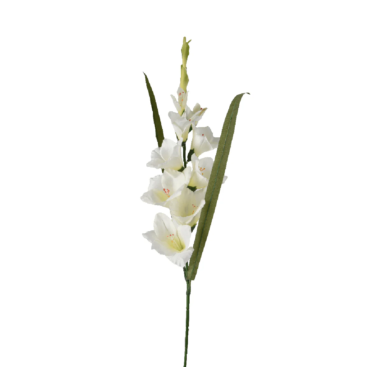 Gladiolus Flower on Stem Polyester White