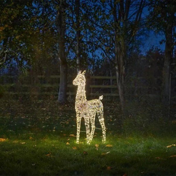 Gold Twist Fawn | 107Cm
