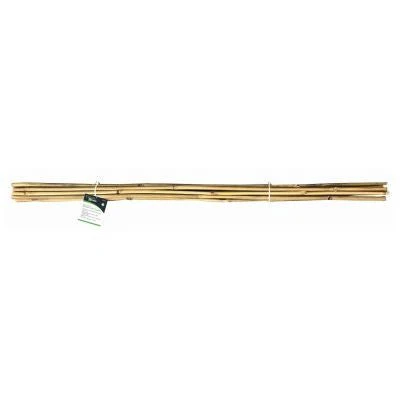 Green Blade 10Pc 120Cm Bamboo Plant Support