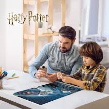 Harry Potter Harry & Ron Flying Over Hogwarts 300Pce 3D Puzzle - Image 2