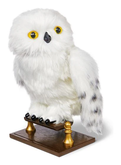 Hedwig - Image 5