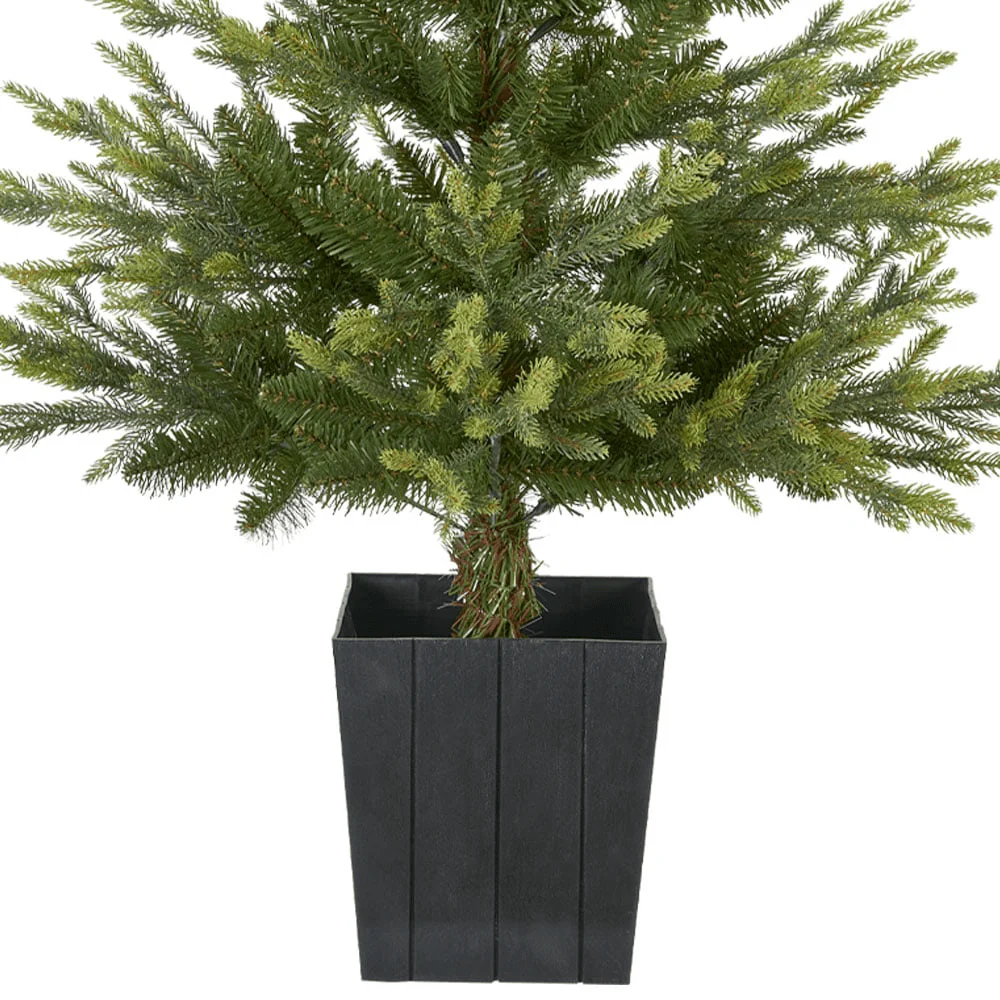 Helsinki Christmas Tree in Pot 4ft (1.2m) - Image 4