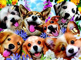 Howard Robinson: Puppy Selfie 48Pce 3D Puzzle - Image 2