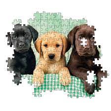 Hqc 1000 Pc Puzzle - Three Labs - Image 2