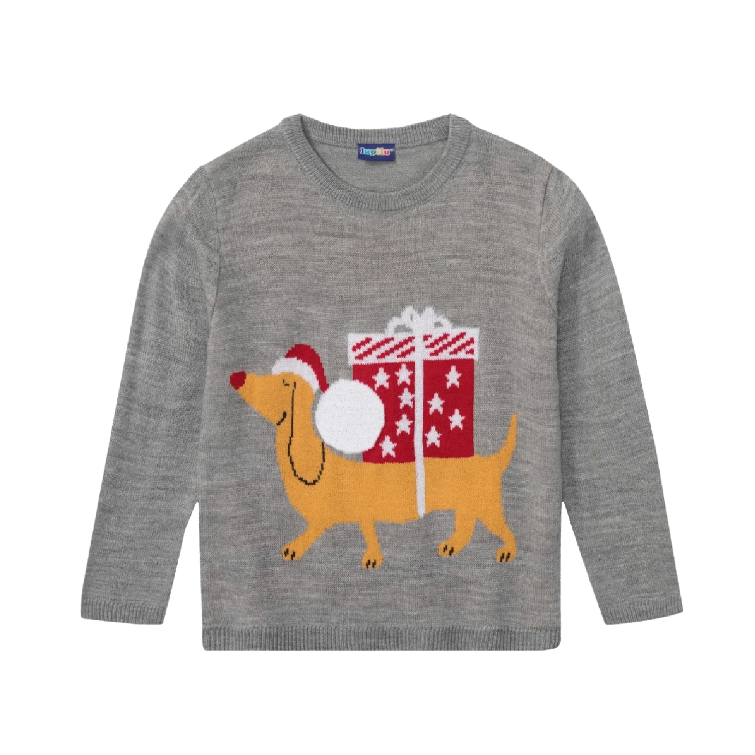 Kids Christmas Jumper Dog with Present Age 2-4