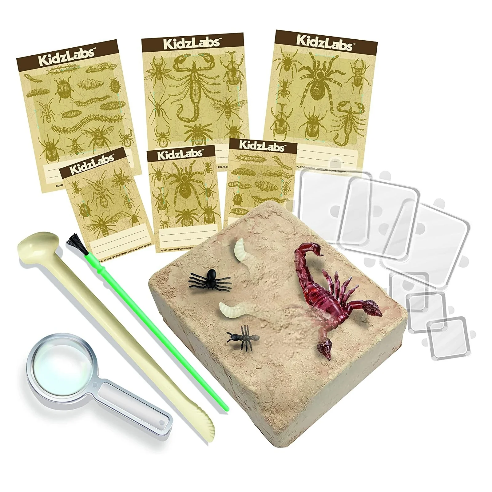 KidzLabs Creepy Crawly Digging Kit - Image 2