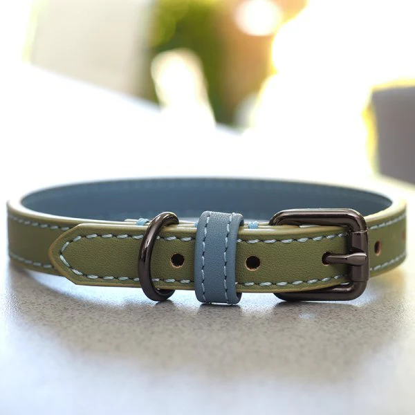 Luxe Leather - Sage - L WalkAbout Dog Collar (45cm-53cm)