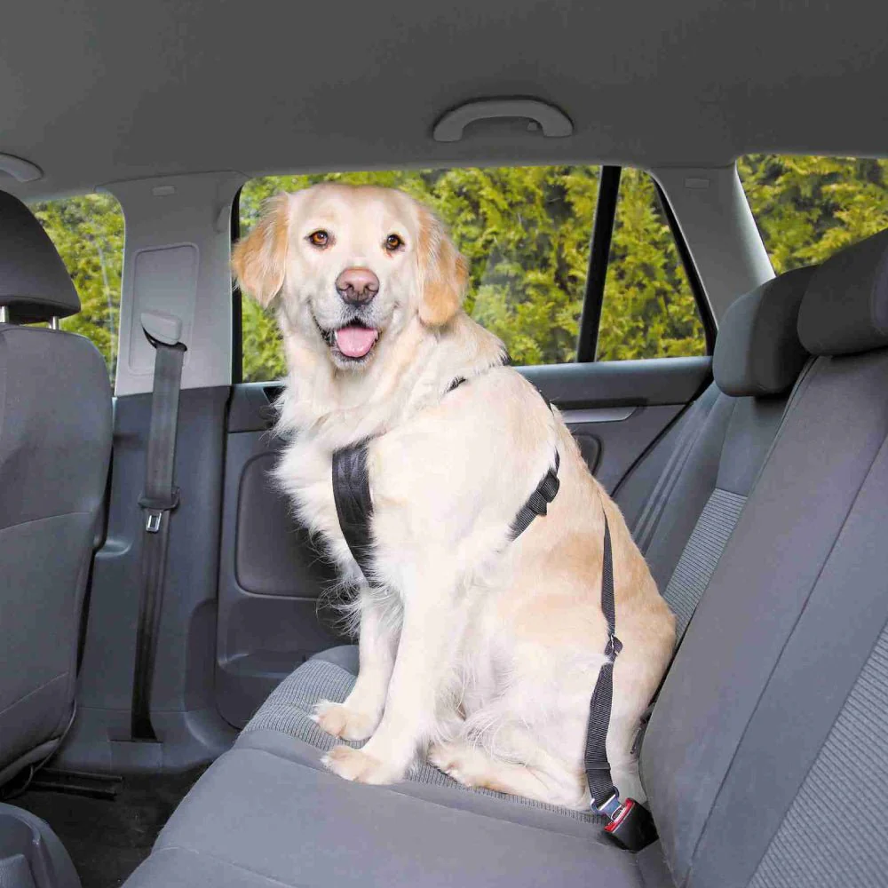 Medium Dog Car Harness 50-70Cm Tx2919