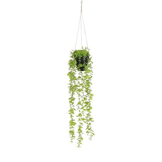 Mica Decorations Eucalyptus Artificial Hanging Plant in Pot H54 x W9cm - Green