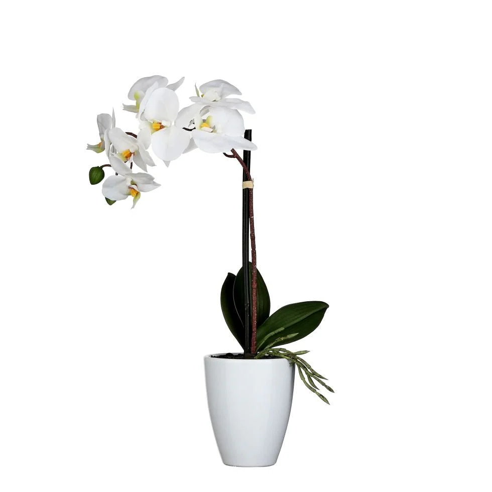 Mica Decorations Phalaenopsis White in pot Tusca White 42cm